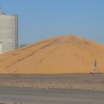 corn pile