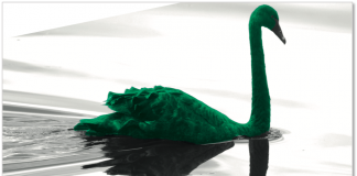 green swan