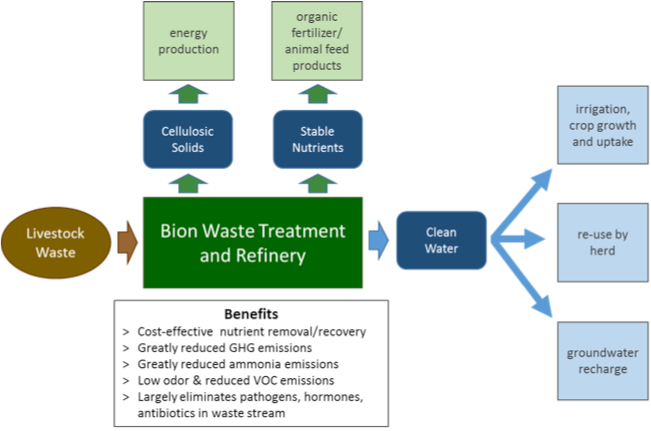 Bion Tech platform